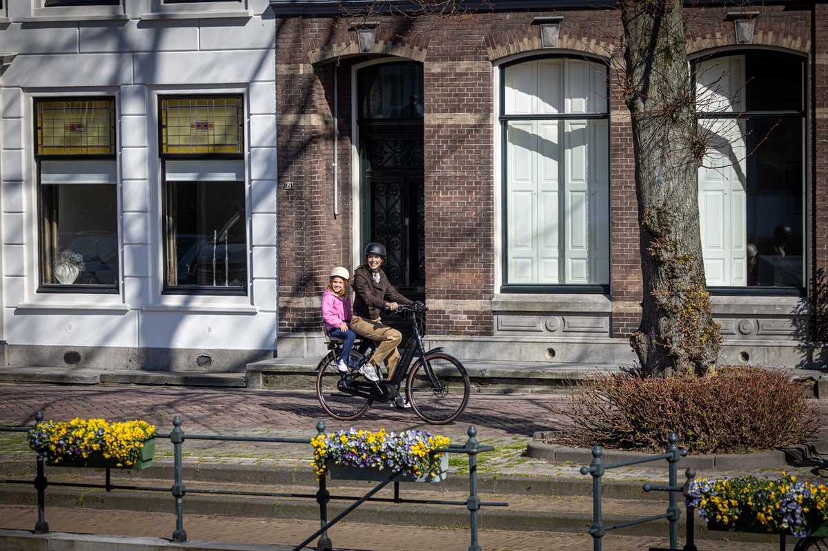 Kinderzitje achter Qibbel 6+ Junior Grijs - voetsteunen - gordel - beschermplaat kopen